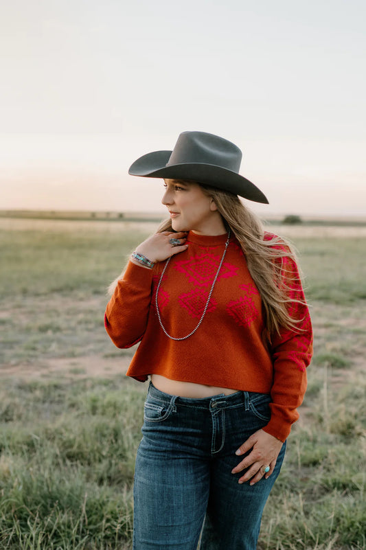NOT MY FIRST RODEO Western Aztec Crop Knit Top