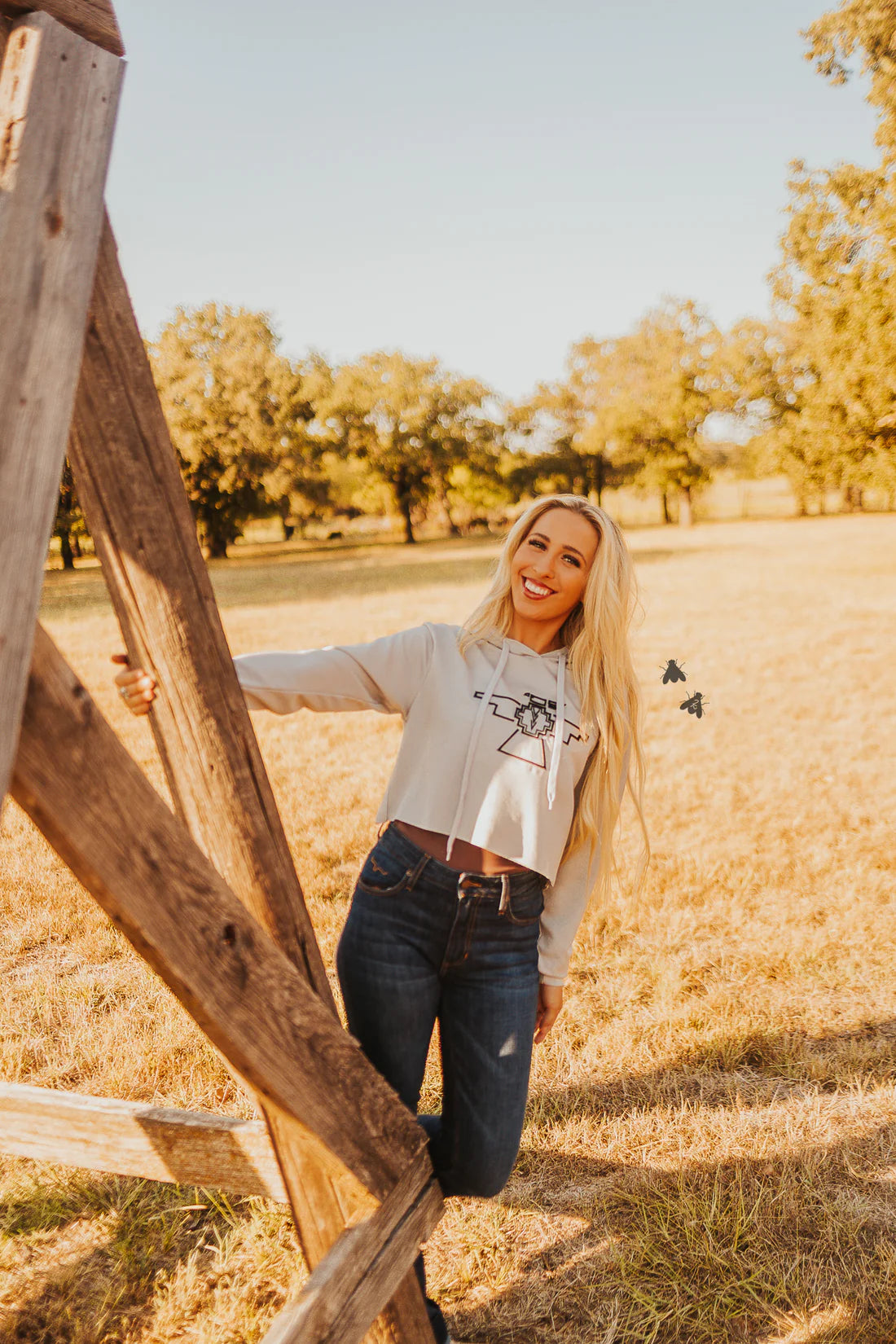 THE THUNDERBYRD Light Grey Western Crop Hoodie