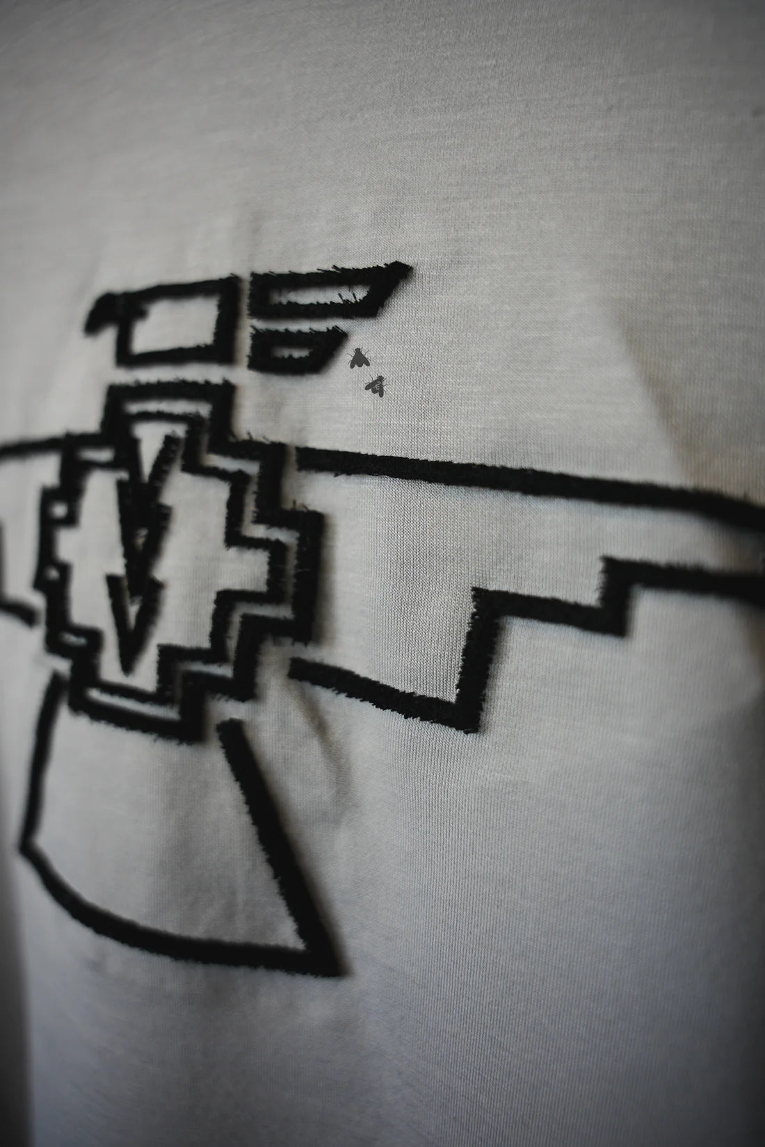 THE THUNDERBYRD Light Grey Western Crop Hoodie
