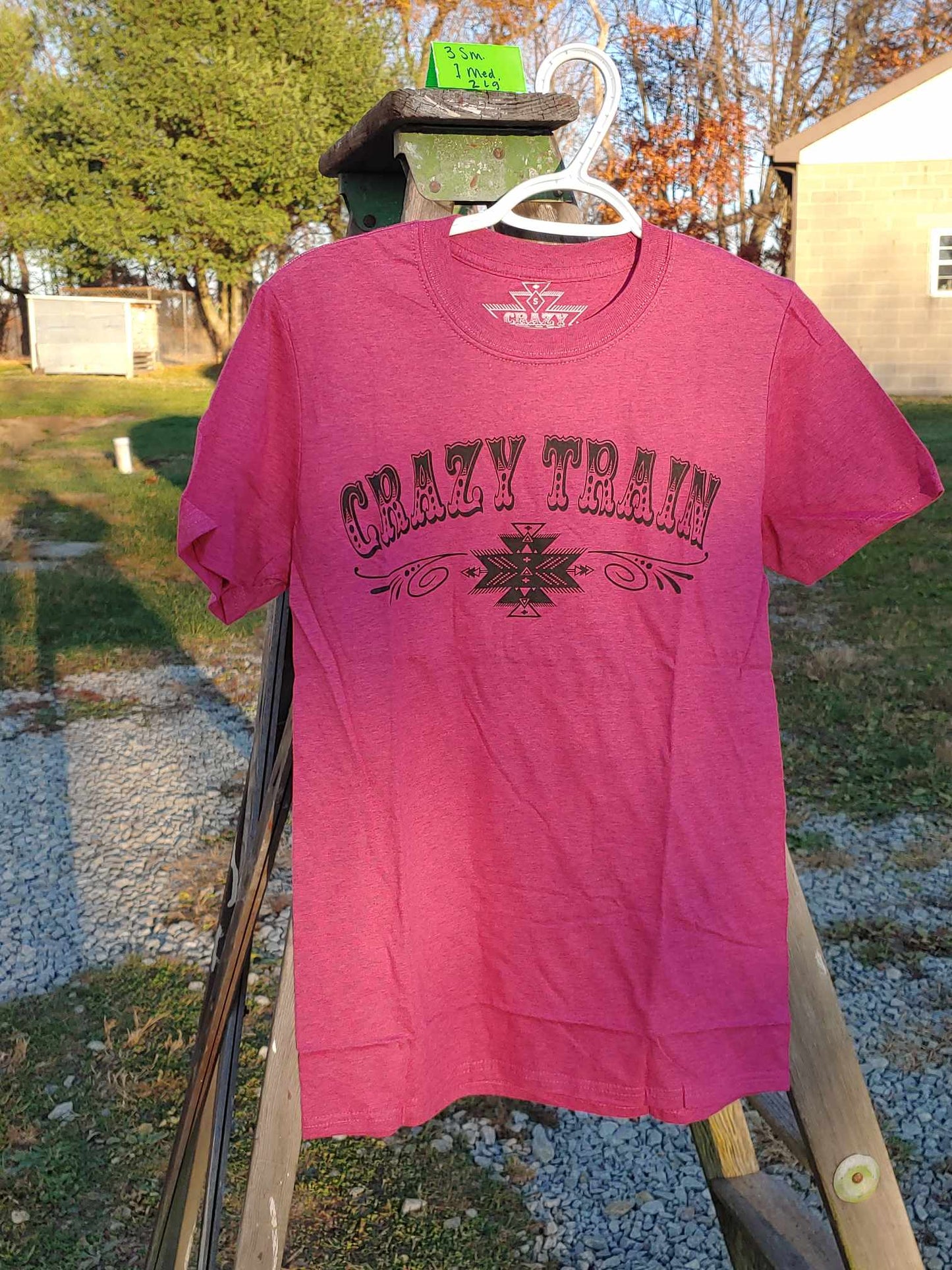 Small Crazy Train Promo Tee #4