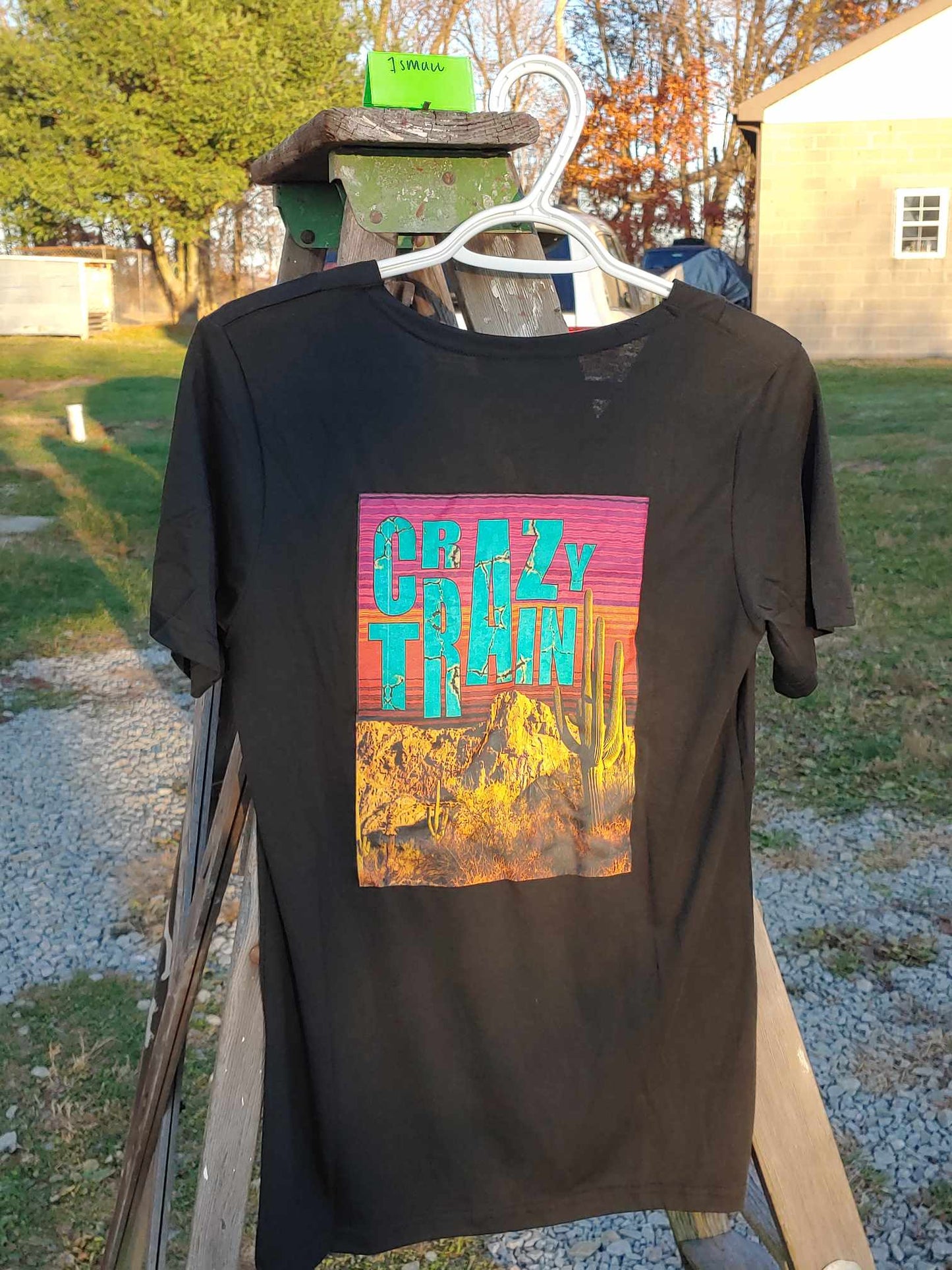 Small Crazy Train Promo Tee #2