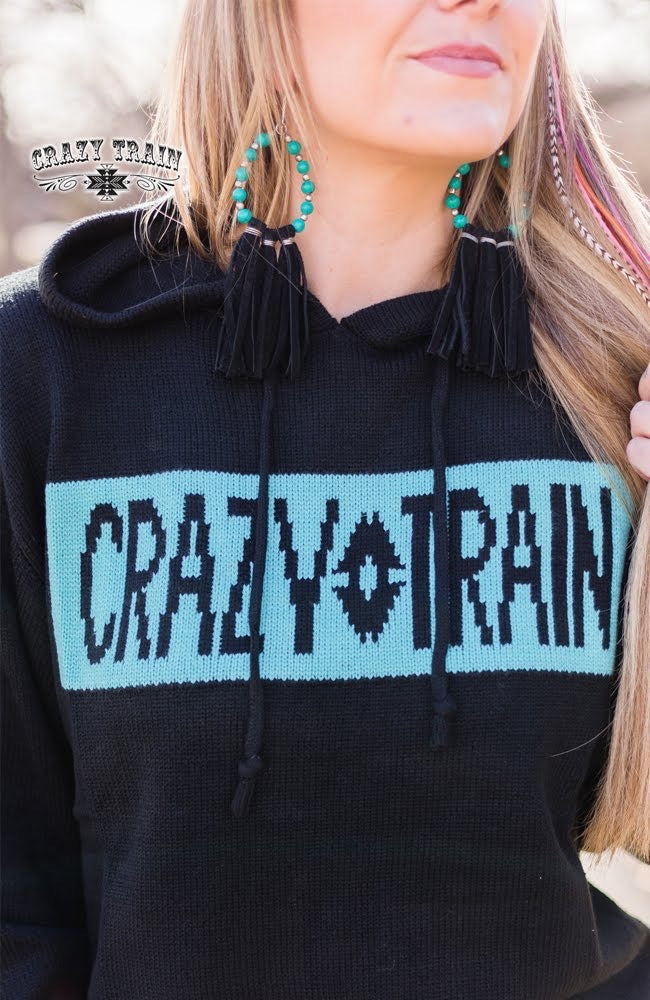 Small Collegiate Crazy Black Knit Logo Hoodie