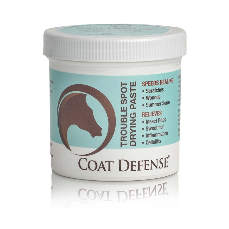 Coat Defense Trouble Spot Drying Paste - Pro size 24oz