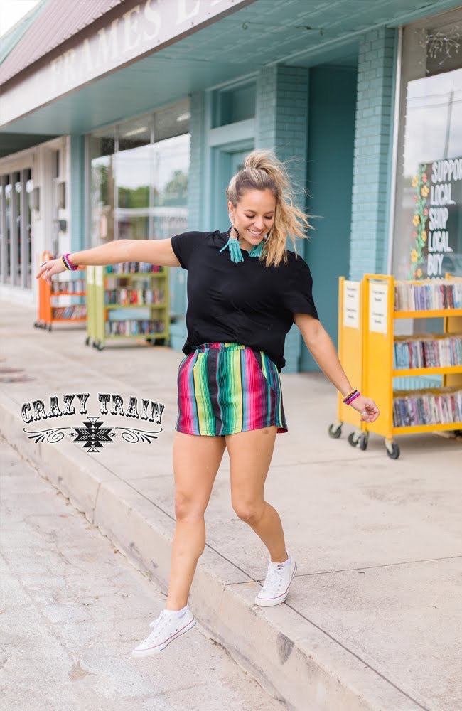 Small Serape Summer Shorts